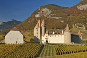 Zahlen zum Schweizer Weinbau