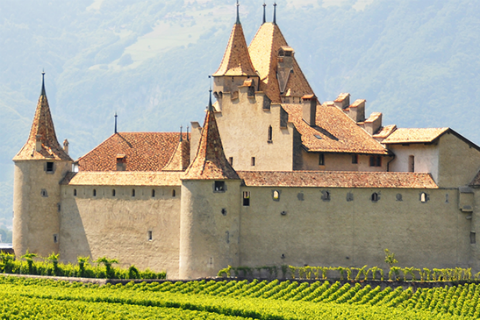 Die 150 besten Weingüter der Schweiz
