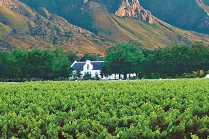 Boschendal: drei neue Weine vom Kap