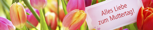 Headerbild