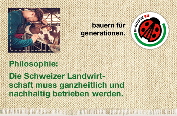 Banner rechts