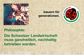 Banner rechts
