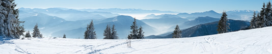 Headerbild
