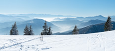 Headerbild
